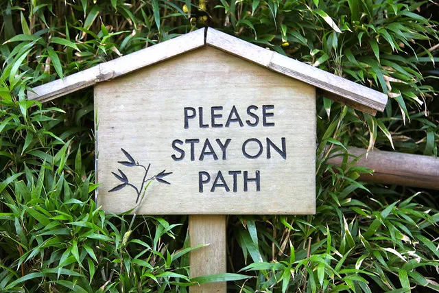 please-stay-path